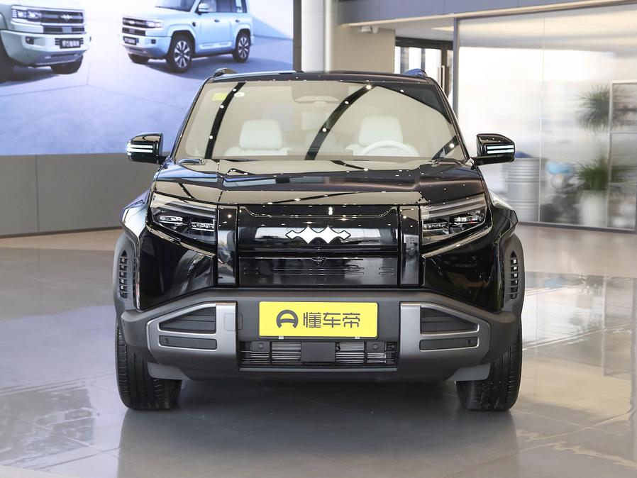 BYD Leopard 3 L.Riker