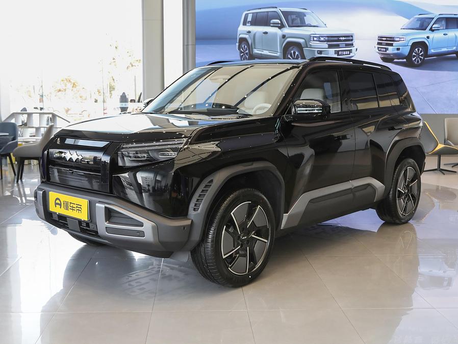 BYD Leopard 3 L.Riker