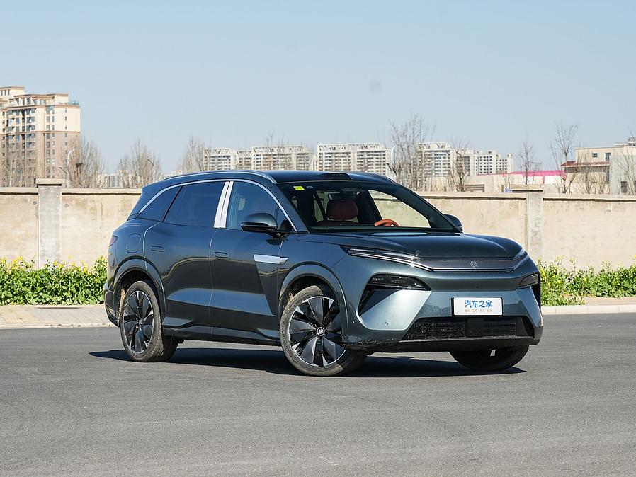 BYD Tang L Green L.Riker