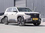 BYD Leopard 3 L.Riker