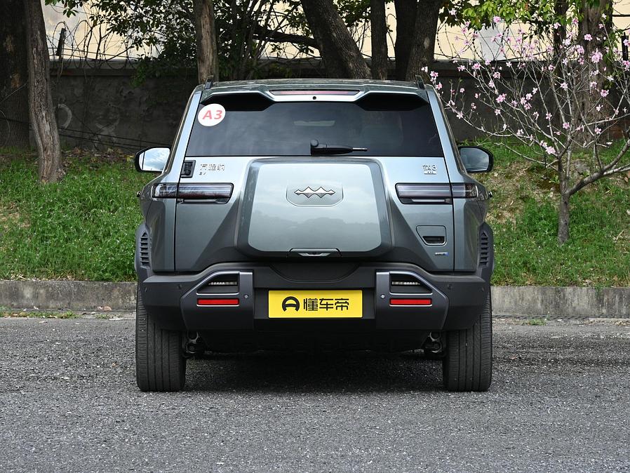 BYD Leopard 3 L.Riker