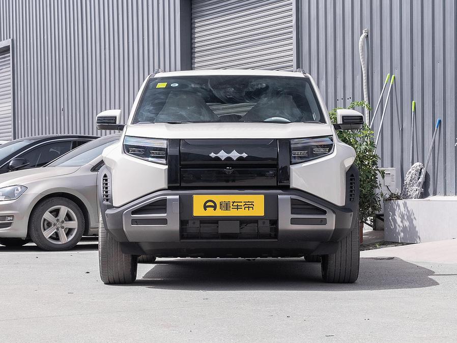 BYD Leopard 3 L.Riker