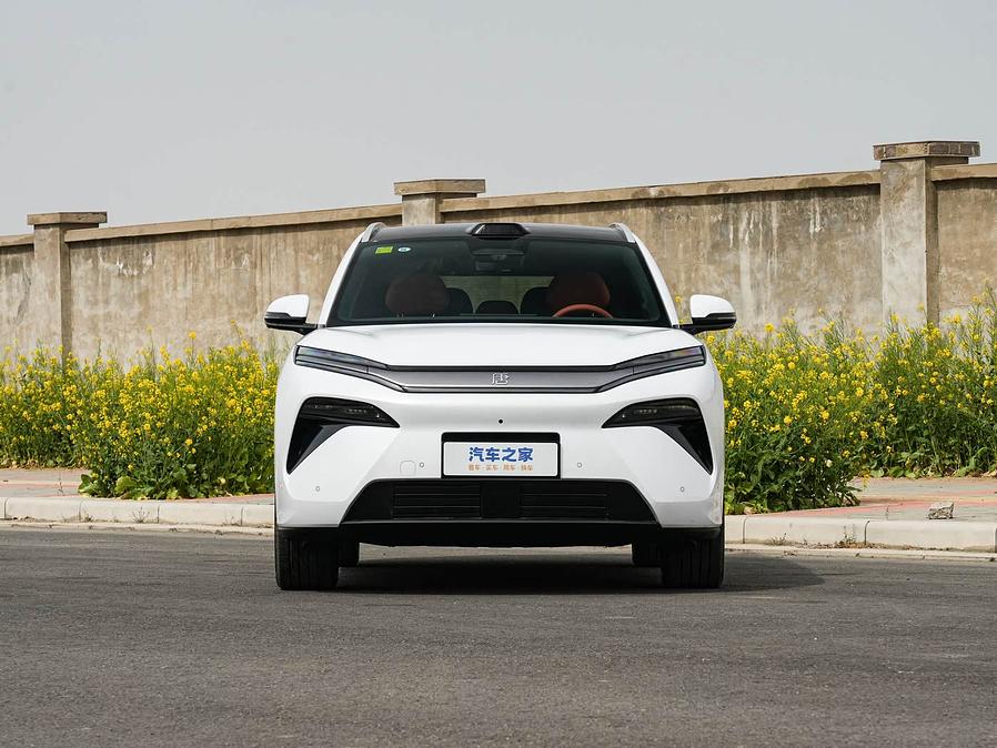 BYD Tang L White L.Riker