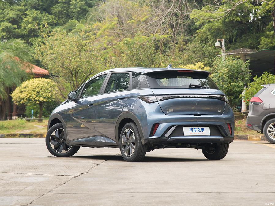 Dolphin 2024 Atlantis gray