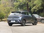 Dolphin 2024 Atlantis gray