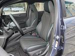 Dolphin 2024 Atlantis gray