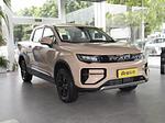 Geely Radar RD 6 L.Riker