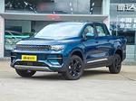 Geely Radar RD 6 L.Riker