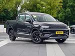 Geely Radar RD 6 L.Riker