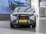 BYD Leopard 3 L.Riker