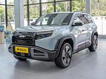 BYD Leopard 3 L.Riker