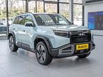 BYD Leopard 3 L.Riker